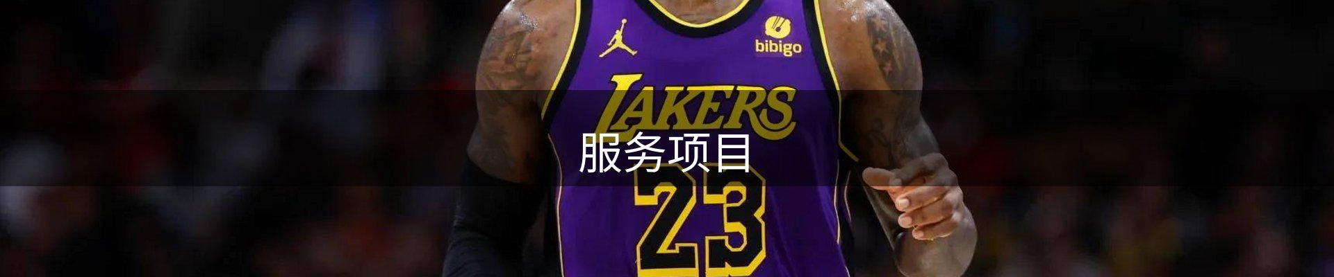 服务项目